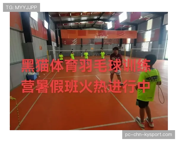 世界羽毛球超级系列赛赛后青训导师网络研修扩大招生，羽毛球青年组世界排名